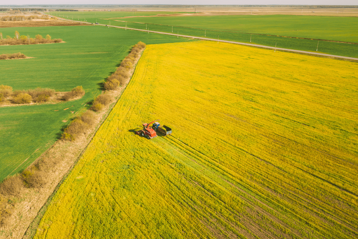 Engenharia Agronomica